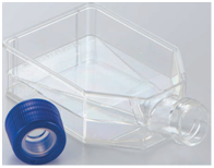 iP-TEC® Flask-25 培养瓶系列                  细胞培养瓶（活细胞运输用）