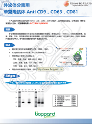 外泌体分离用单克隆抗体 Anti CD9，CD63，CD81