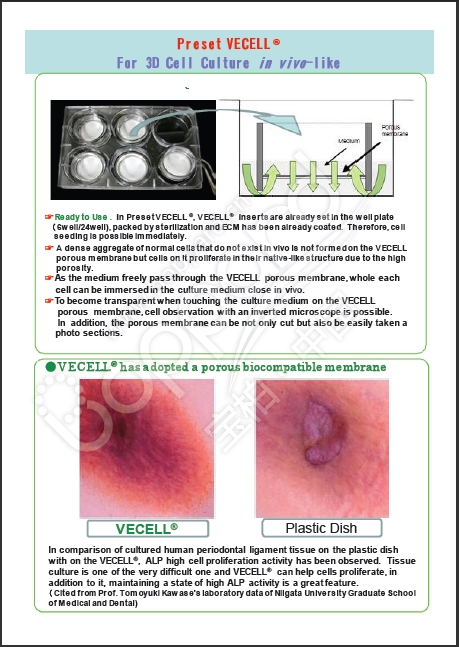VECELL® 3D细胞培养板                  VECELL® 3D Cell Culture Plate