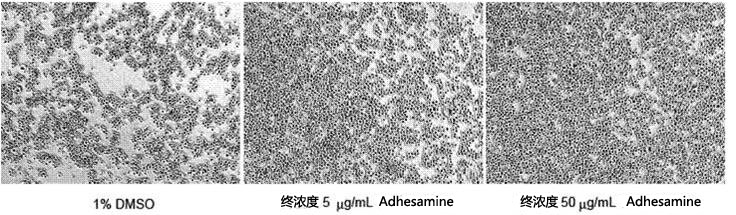 Adhesamine