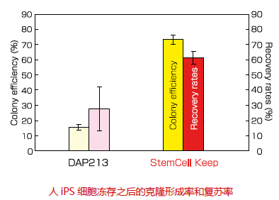 无DMSO干细胞冻存液                  StemCell Keep