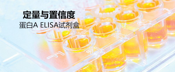 蛋白A ELISA试剂盒                  Protein A ELISA kit