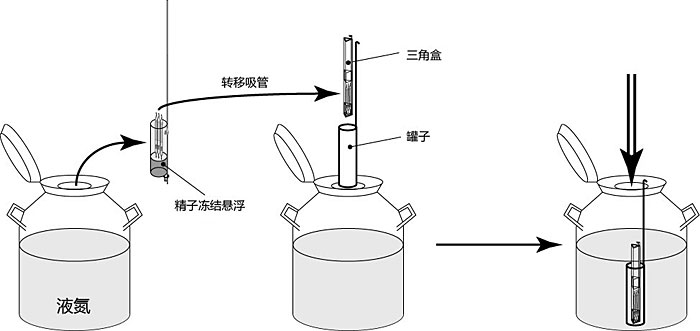 FERTIUP® 和CARD MEDIUM® 配件                  FERTIUP®  &CARD MEDIUM®  Peripheral Products