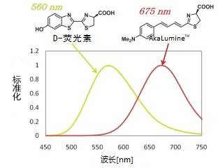AkaLumine™                  近红外发光荧光素类似物