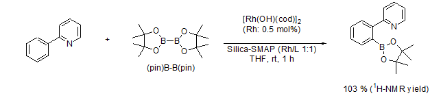 硅胶负载型篮式结构催化剂                  Silica-SMAP、Silica-TRIP