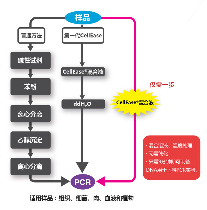 CellEase® II DNA快速提取试剂盒                   DNA extraction reagent : CellEase® II series