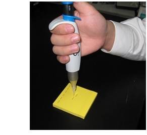 长单链DNA（ssDNA）制备试剂盒                  Long ssDNA Preparation Kit (LsODN Preparation Kit)