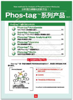 SuperSep Phos-tag™ 预制胶                  SuperSep Phos-tag™