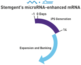 microRNA增强试剂盒                  microRNA Booster Kit