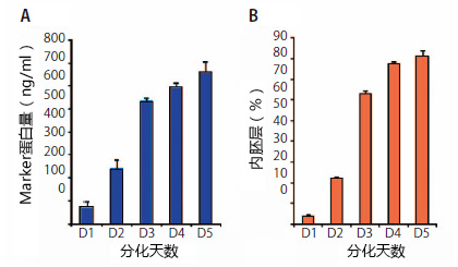 内胚层监测试剂盒                  ES/iPS Differentiation Monitoring Kit–Human Endoderm