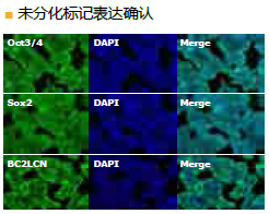 StemSure® 人多能干细胞培养基                  StemSure® hPSC Medium