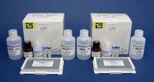 血蓝蛋白（KLH）（T细胞依赖性抗原）  大鼠免疫球蛋白G（IgG）ELISA试剂盒                  Lbis KLH(TDAR) Rat-IgG ELISA Kit