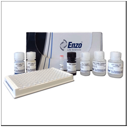 淀粉样前体蛋白片段检测试剂盒                  APP ΔC31 ELISA kit