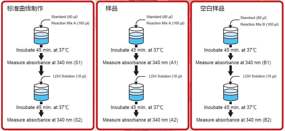 D- 丝氨酸比色法检测试剂盒                  D-Serine Colorimetric Assay Kit