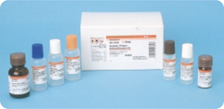 β淀粉样蛋白-免疫组织染色试剂盒                  Amyloid β-Protein Immunohistostain Kit