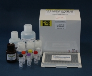Shibayagi 小鼠胰岛素 ELISA试剂盒（RTU）                  Libs Mouse Insulin ELISA KIT(RTU)