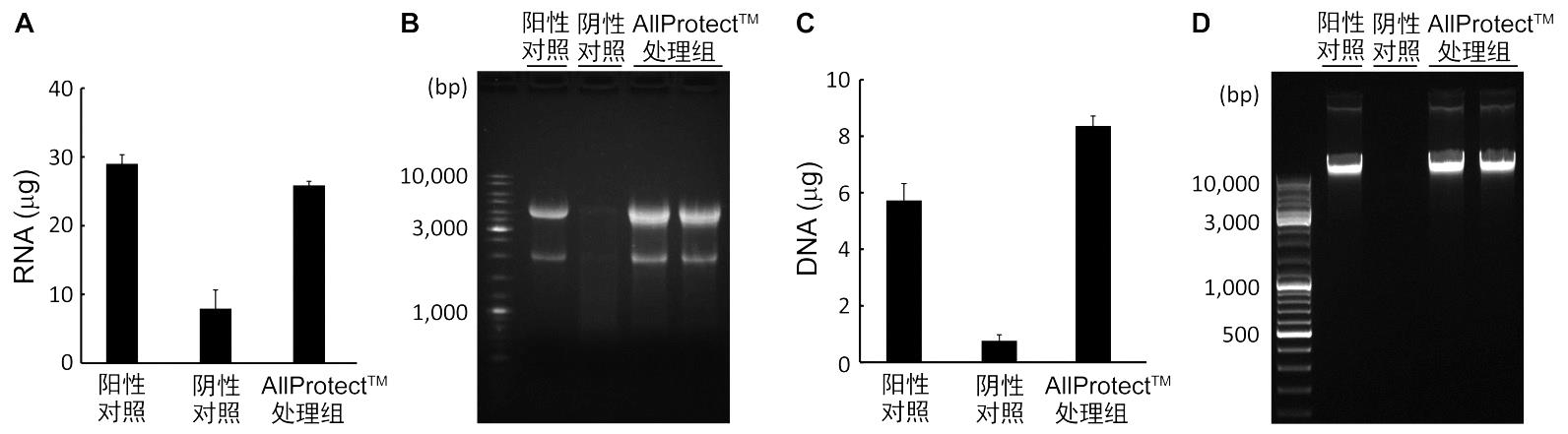 AllProtect™动物组织核酸、蛋白稳定保存液(R0121-100ml)