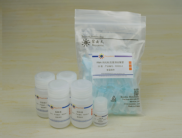 RNAeasy™动物RNA抽提试剂盒(离心柱式)(R0026)