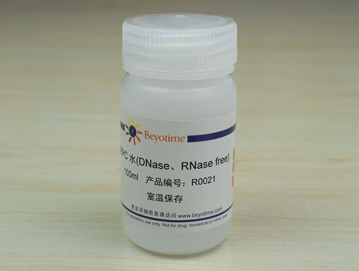 DEPC水(DNase、RNase free)(R0021)