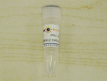 生物素标记EMSA探针－STAT5 (0.2μM)(GS085B)