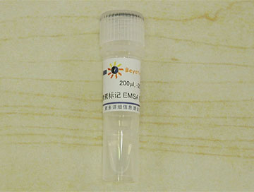 生物素标记EMSA探针－STAT5 (0.2μM)(GS085B)