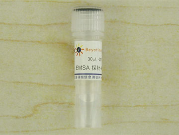 EMSA探针－SP1 (10μM)(GS078A)