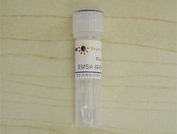 EMSA探针－NF-κB (1.75μM)(GS056)