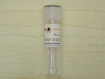 EMSA突变探针－HIF-1α (10μM)(GS032T)