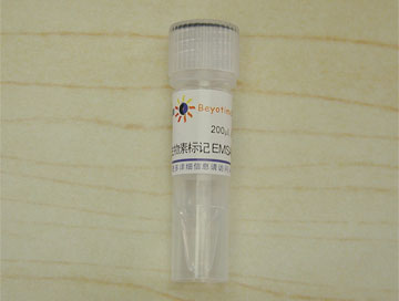 生物素标记EMSA探针－CREB (0.2μM)(GS021B)