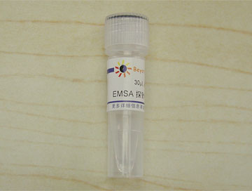 EMSA探针－CREB (10μM)(GS021A)