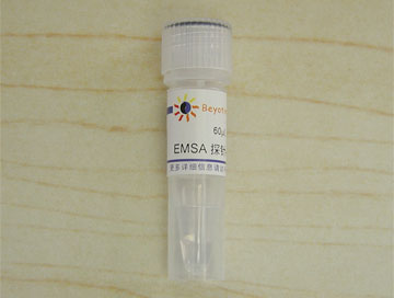 EMSA探针-CREB (1.75μM)(GS021)
