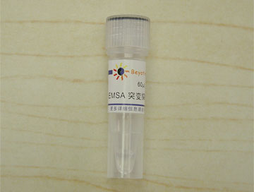 EMSA突变探针－AP2 (1.75μM)(GS012M)