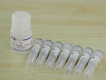 EMSA探针生物素标记试剂盒(GS008)