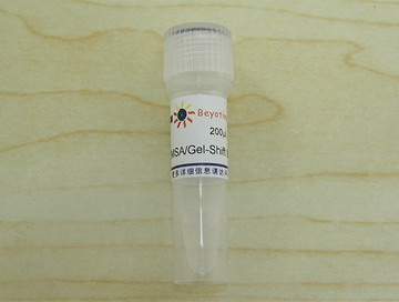 EMSA/Gel-Shift 结合缓冲液(5X)(GS005)