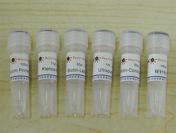 生物素随机引物DNA标记试剂盒(D3118)