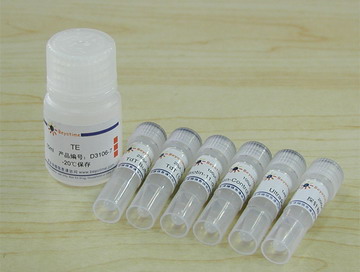 生物素3' 末端DNA标记试剂盒(D3106)
