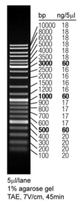 InstantView™红色荧光DNA Ladder(0.1-10kb, 21 bands, 溴酚蓝)(D0115S)