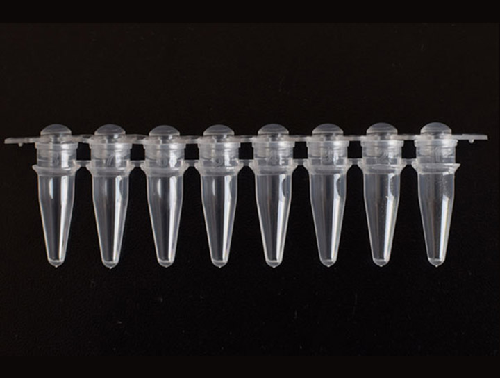 BeyoGold™ PCR八联排管(0.2ml, 凸盖, 透明)(FTUB329)