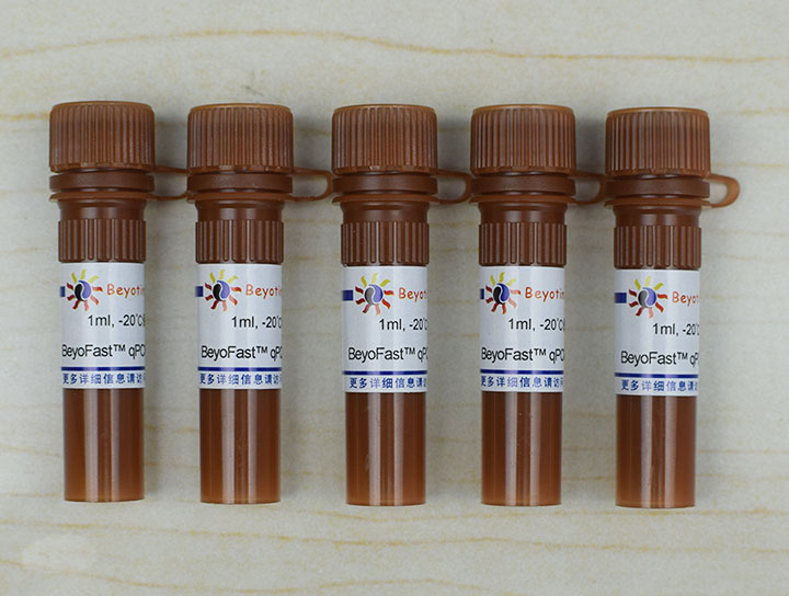 BeyoFast™ SYBR Green qPCR Mix (2X, High ROX)(D7265-5ml)