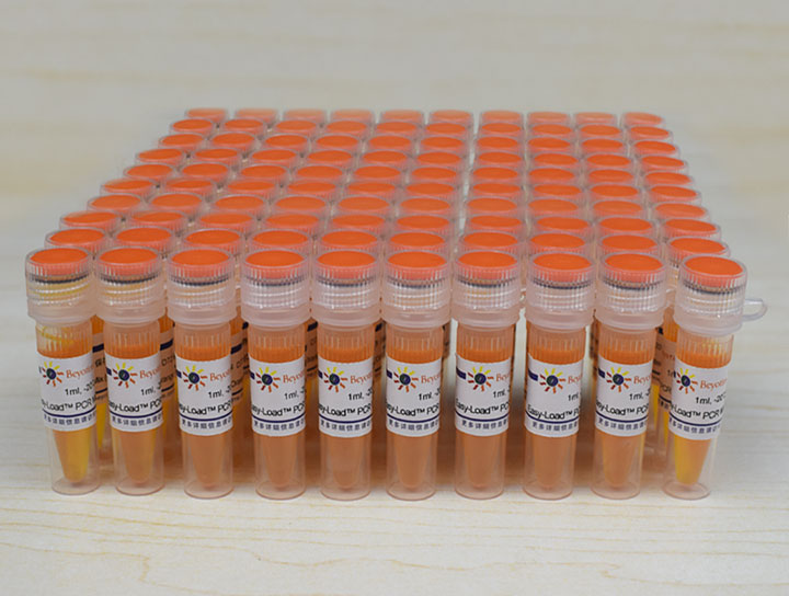 Easy-Load™ PCR Master Mix (Orange, 2X)(D7259-100ml)