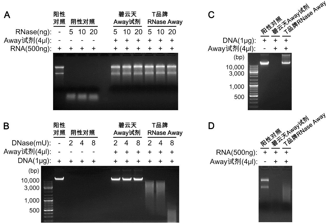 RNase, DNase, RNA and DNA Away(R0127)