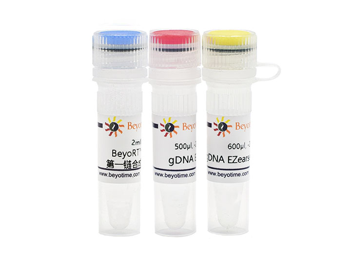 BeyoRT™ III cDNA合成试剂盒(with gDNA EZeraser)(D7180L)