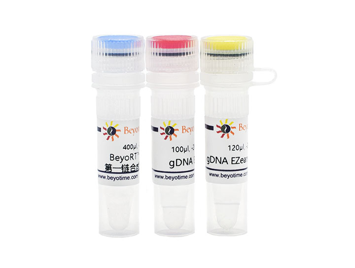 BeyoRT™ III cDNA合成试剂盒(with gDNA EZeraser)(D7180M)