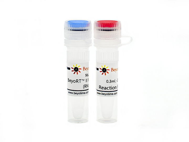 BeyoRT™ II M-MLV反转录酶(RNase H-)(D7160S)