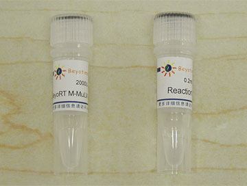 BeyoRT™ M-MuLV反转录酶(D7153)