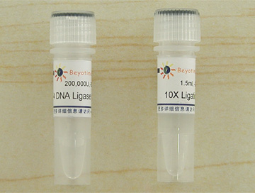 T4 DNA Ligase(D7008)