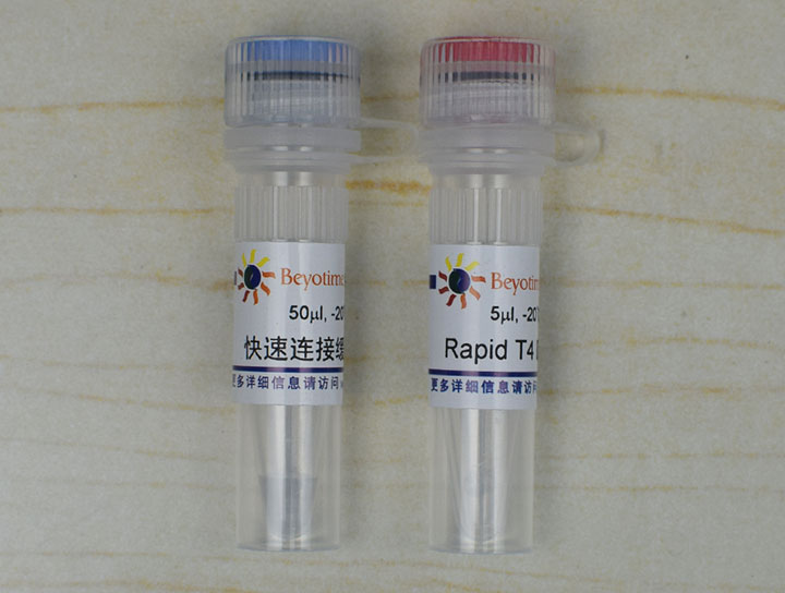 快速DNA连接试剂盒(试用装)(D7002FT)