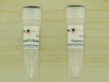 BeyoAP Alkaline Phosphatase(D7027)