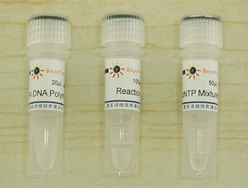 DNA末端平滑试剂盒(D7012)