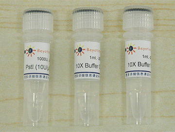 PstI(D6565)